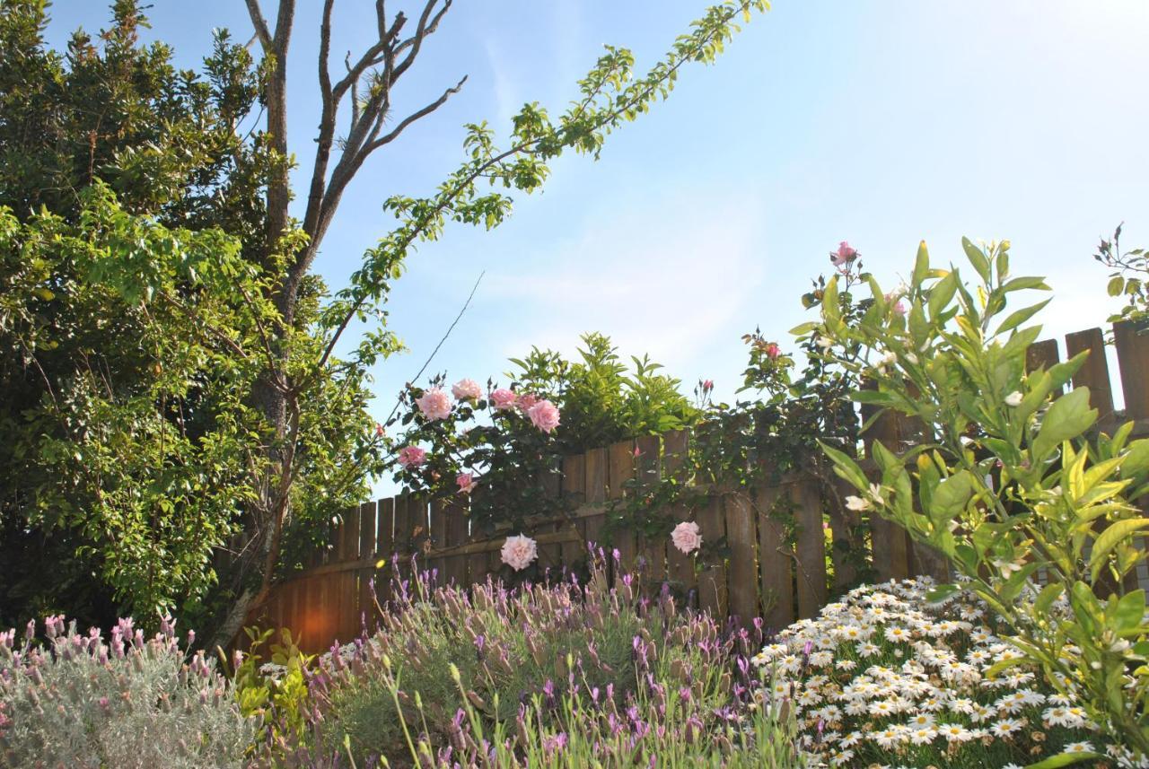 Wai O Taiki Bay B&B Auckland Luaran gambar
