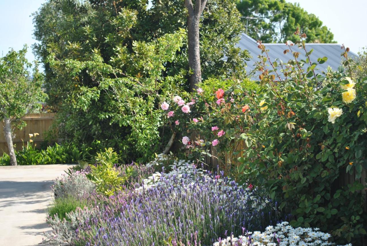 Wai O Taiki Bay B&B Auckland Luaran gambar